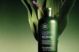 Paul Mitchell Tea Tree