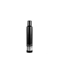 Tigi Catwalk Session Series Finishing Spray 9.2oz